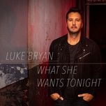 what she wants tonight - luke bryan