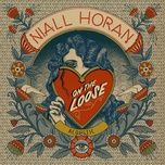 on the loose (acoustic) - niall horan