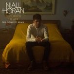 too much to ask (tru concept remix) - niall horan