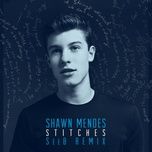 stitches (seeb remix) - shawn mendes
