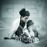 invisible (album version) - skylar grey