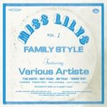 miss lilys family style mega mix - various artists