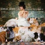 chasing pirates (santigold and snotty remix) - norah jones