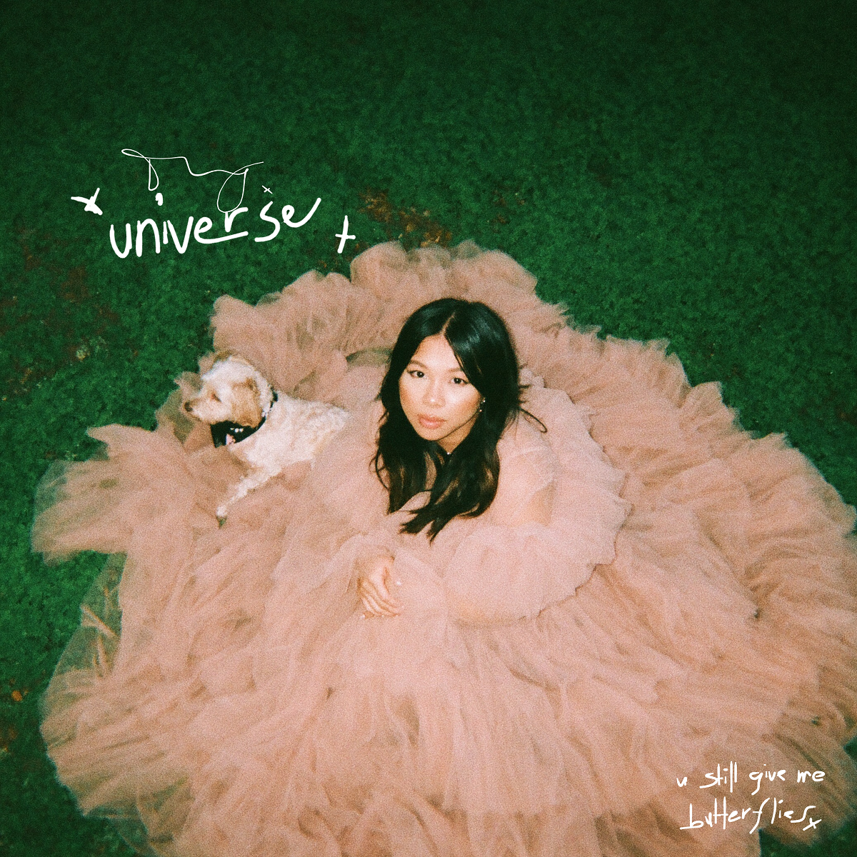 universe - thuy