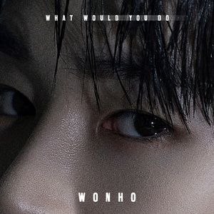 what would you do - wonho