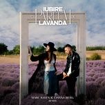 iubire cu parfum de lavanda (marc rayen & danny burg remix) - juno