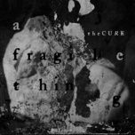 a fragile thing (live troxy london mmxxiv) - the cure