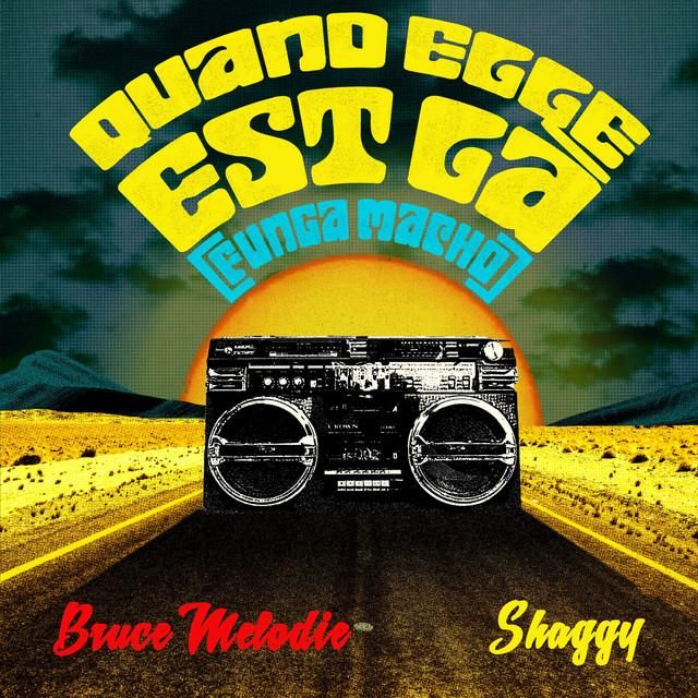 quand elle est la (funga macho) - bruce melodie, shaggy