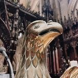 i'm a fan - secret, indiana