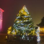 burn the houses - secret, indiana