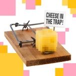 cheese in the trap - chi xe, lazii