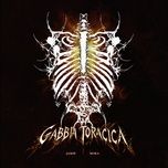 gabbia toracica - jamie