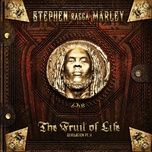 so strong - stephen marley, shaggy