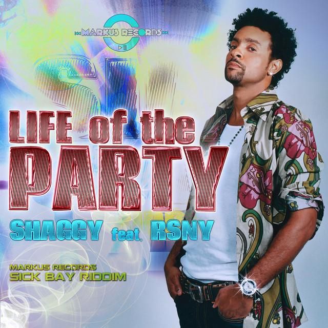 life of the party - shaggy, rsny