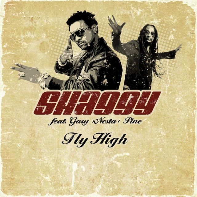 fly high - plastik funk remix - shaggy, gary nesta pine