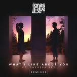 what i like about you (owen norton remix) - jonas blue, theresa rex