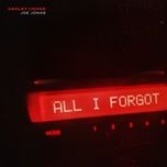 all i forgot - ashley cooke, joe jonas