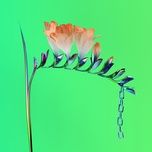 heater - flume
