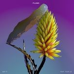 wall fuck - flume