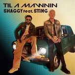 til a mawnin (feat. sting) - shaggy