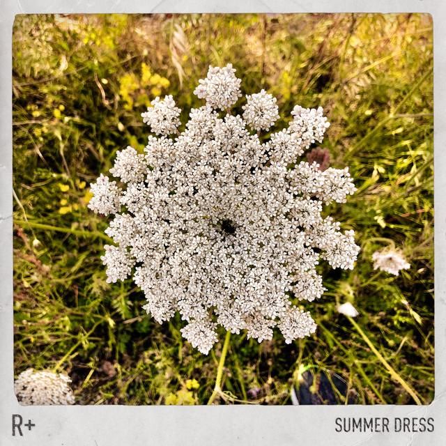 summer dress (edit) - r plus, dido