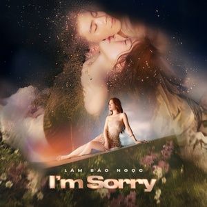 i'm sorry - lam bao ngoc