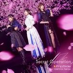 secret operation  (feat. yoshino nanjo) [instrumental] - fripside