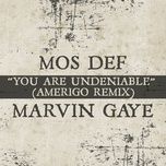 you are undeniable (amerigo remix) - mos def, marvin gaye