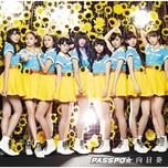 shiny road (instrumental) - passpo