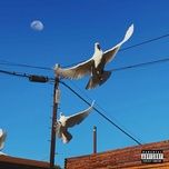 your name forever - mgk