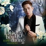 hoa no ben duong (lofi mix) - quang dang tran