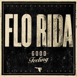 good feeling (dj suketu's indigroove mix) - flo rida
