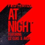 at night (feat. liz elias and akon) - flo rida