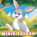minik tavsan - maya