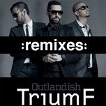 triumf (shine remimx) - outlandish, providers