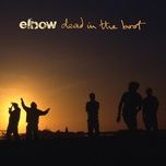 lucky with disease - elbow