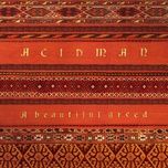 i stand free - acidman