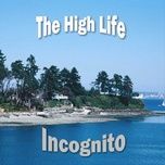 see the light - incognito