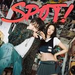spot! - zico, jennie