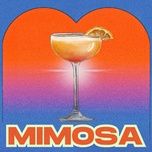 mimosa - darin