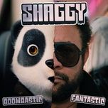 boombastic (fantastic) - shaggy