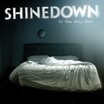 if you only knew (acoustic) [live from warner germany acoustic sessions] - shinedown