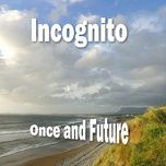 i'm so lucky - incognito