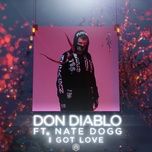 i got love (feat. nate dogg) [extended mix] - don diablo