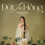 dut to hong - dunghoangpham