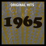 when i get home - the searchers