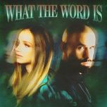 what the word is - jackie hollander, malone, baby bash