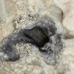 son hoa / 山花 - dich duong thien ty (jackson yi)