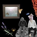 punainen harka - asa