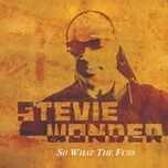 so what the fuss (remix / no rap) - stevie wonder